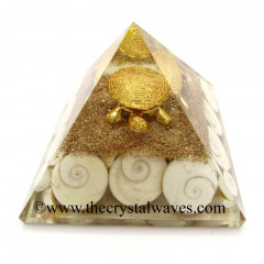 Gomti Chakra / Shiva Eyes Pearl Orgone Pyramid With Fengshui / Vastu Tortoise