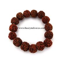 Rudraksha Big Size Round Beads  Bracelet