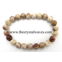 Crazy Lace Agate 8 mm Round Beads Bracelet