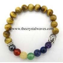 Tiger Cat's Eye Round with 7 Chakra