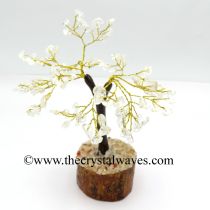 Crystal Quartz 50 Chips Brown Bark Golden Wire Gemstone Tree With Wooden Base